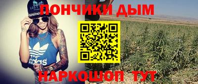 тгк Новозыбков