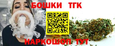 тгк Новозыбков