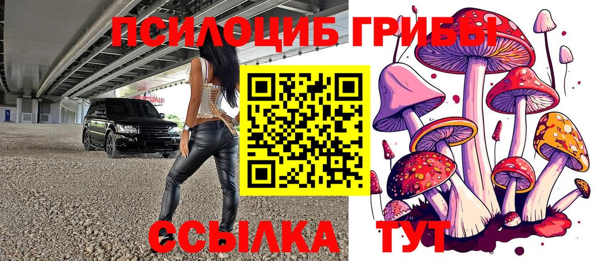 Псилоцибиновые грибы Magic Shrooms  где найти   Сыктывкар  Вход с VPN 